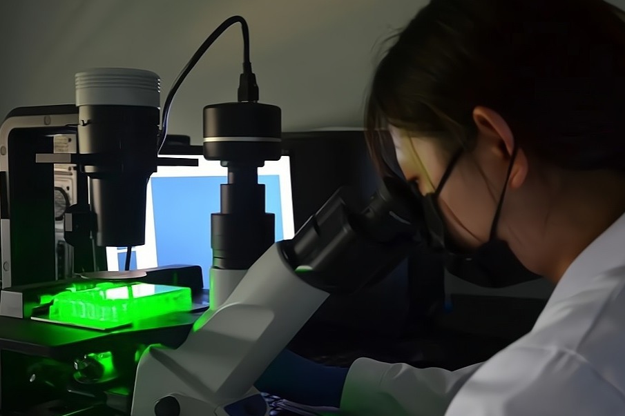 In 2023, China’s science foundation allocates 31 billion yuan for research funding.