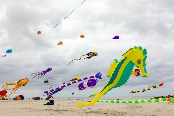 Kites Bridge People In China And France - Chinadaily.com.cn