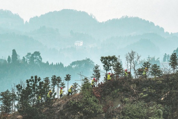 Afforestation revivifies landscape in Chishui River area