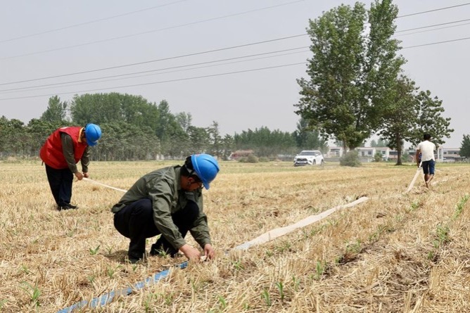 Local power supplier in Shangqiu boosts agricultural irrigation amid droughts