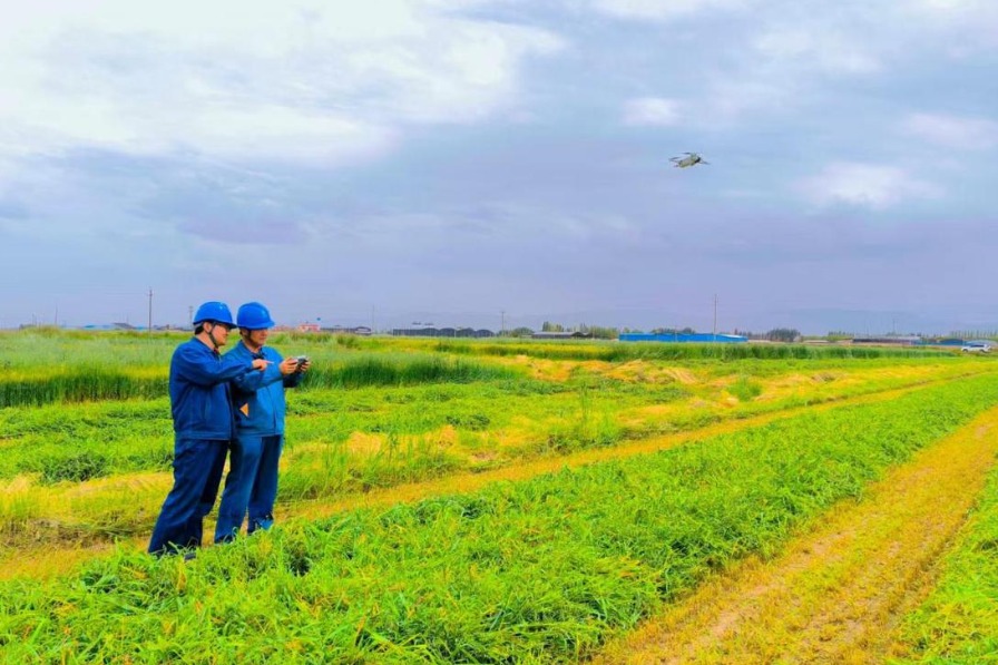 State Grid ensures power grid safety for summer farming season