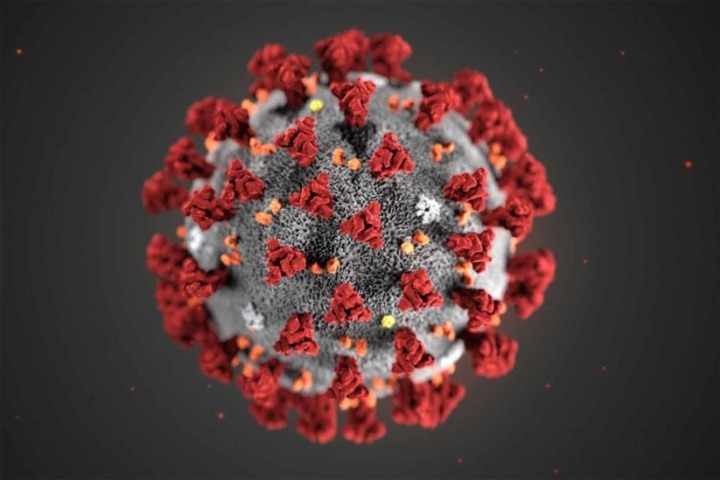 COVID-19 variant KP.3.1.1 predominant in US as infections continue ticking up