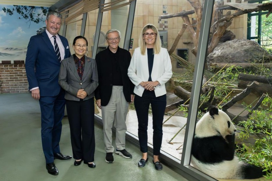 Giant pandas back to China from Austria