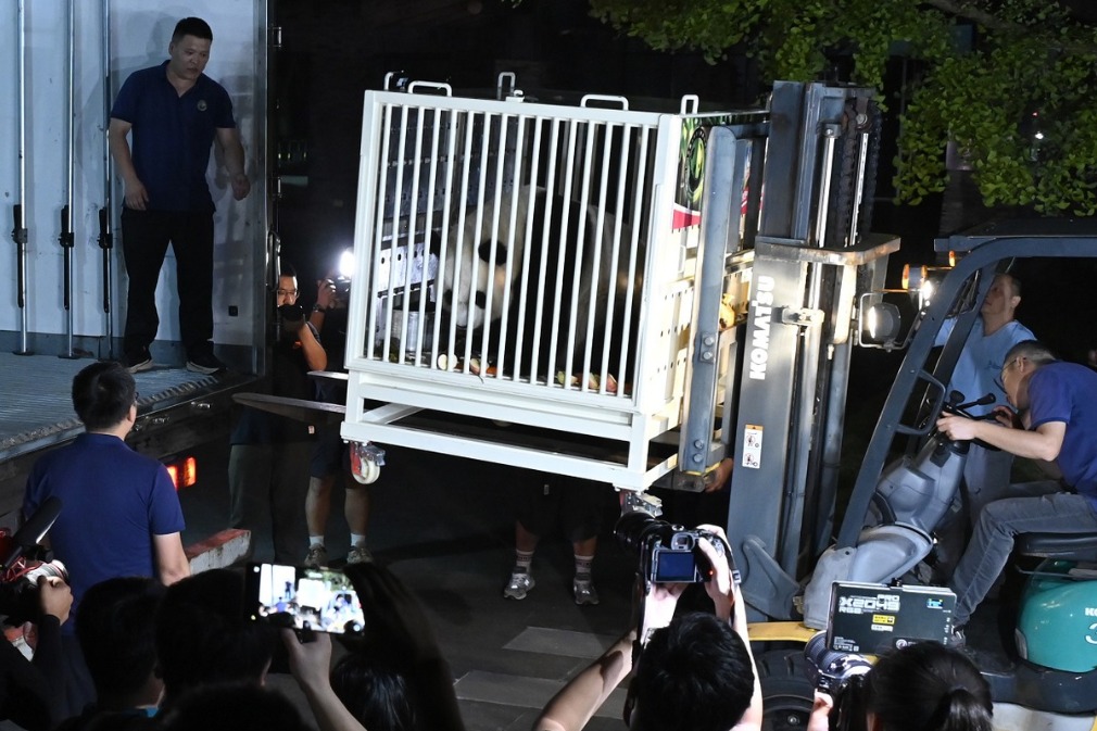 Giant panda pair leave for Hong Kong