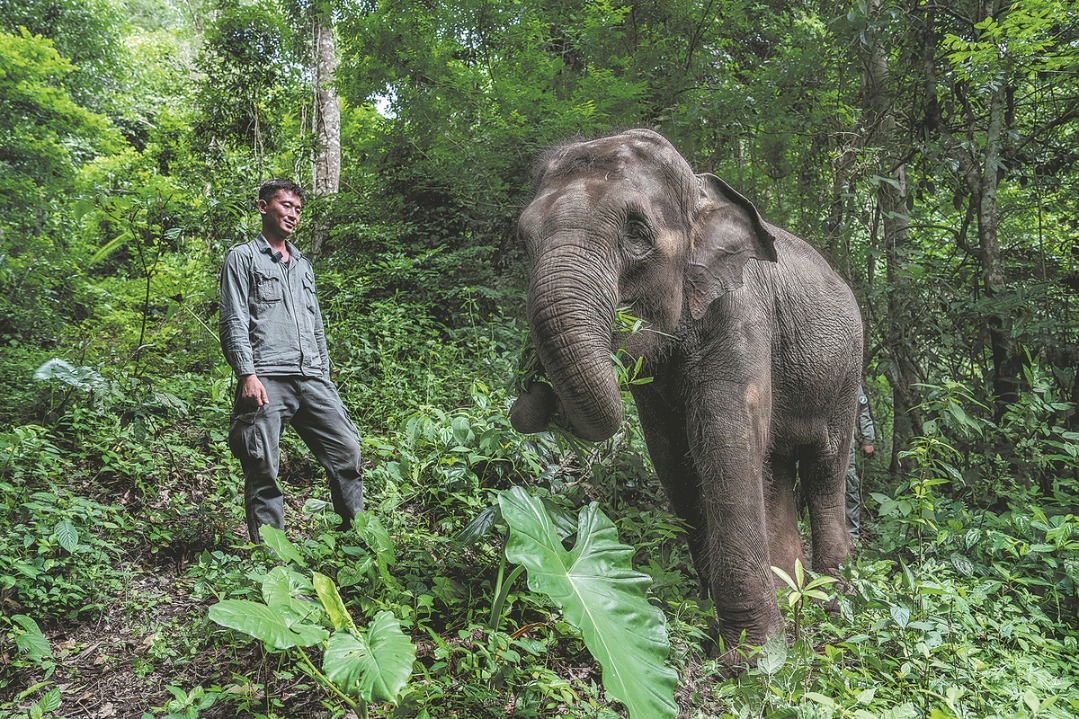 Province contributes to global biodiversity conservation