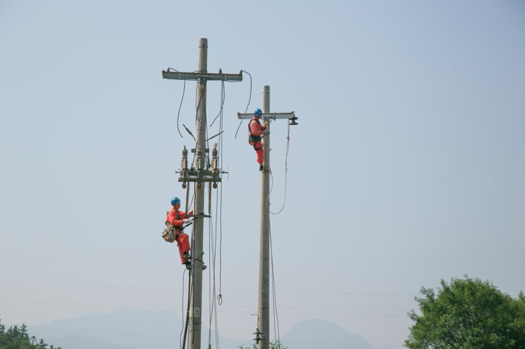 Power Grid Facilitates Rural Revitalization in Quzhou, Zhejiang Province