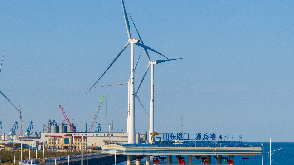 Weifang Port: Leading China's Green Revolution with Zero-Carbon Initiatives