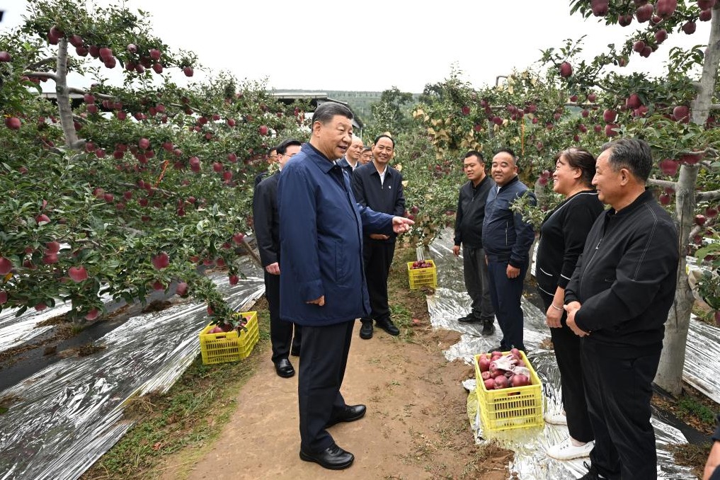 Xi Story: Cultivating the sweet fruit of rural revitalization