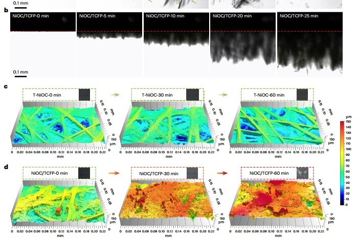 Researchers design self-cleaning electrode for stable synthesis of metal peroxides