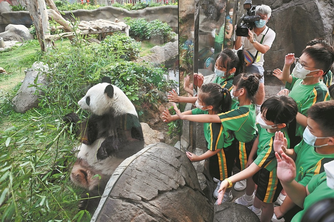 Birth of panda twins brings double joy