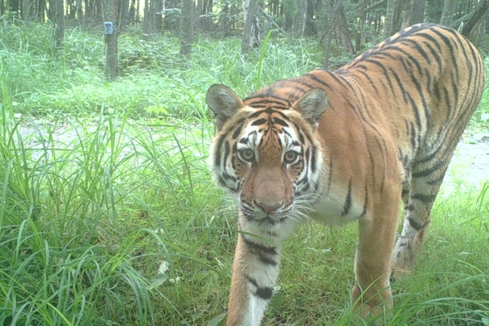 Monitoring ramped up at wildlife park