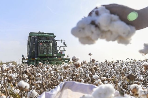 Brands urged to resume use of Xinjiang cotton