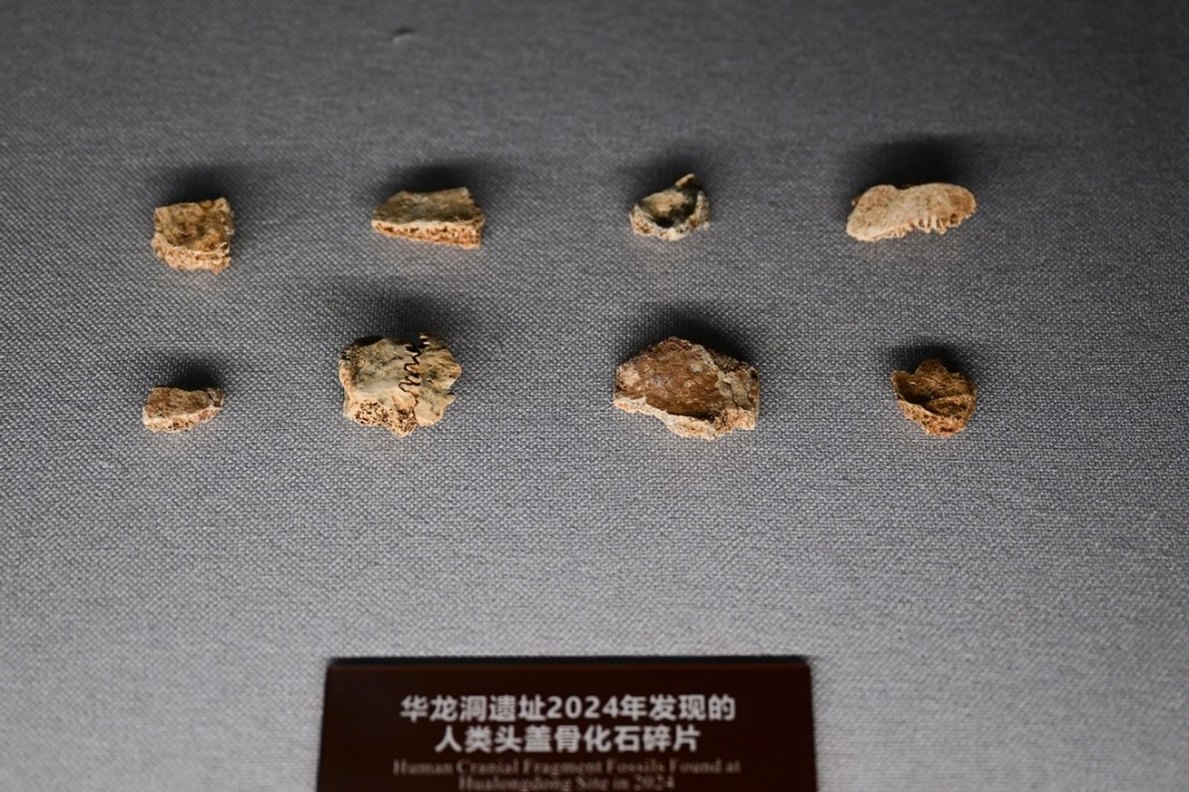 Unearthed Hualongdong fossils reveal secrets of human evolution