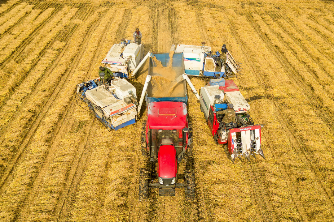 Xi calls for deepening rural reform, strengthening agriculture