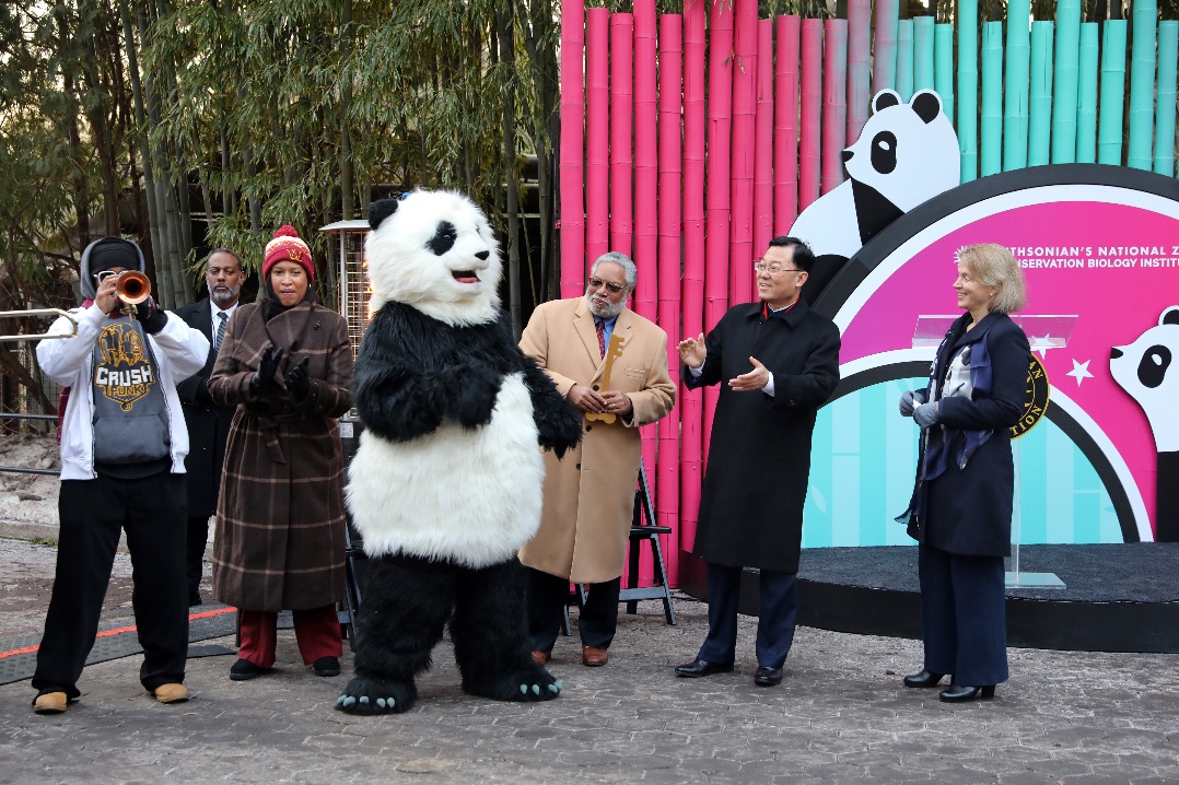 Pandas debut at Washington zoo after 14-month hiatus