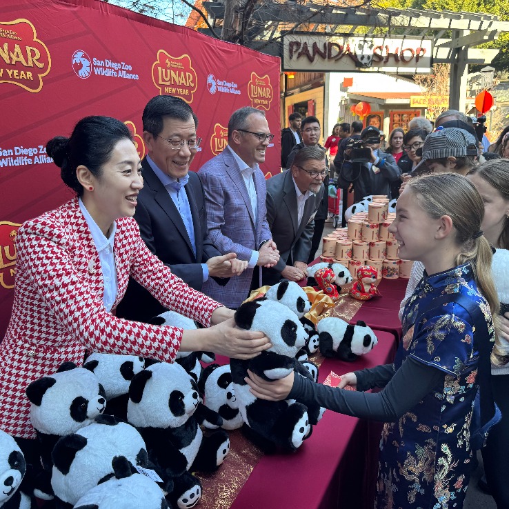 zoo new year’s celebrations psa10 zoo new year's celebrations psa10 New Year's Celebrations - Full