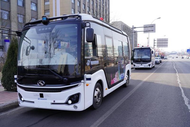 Driverless tech needs more local govt say