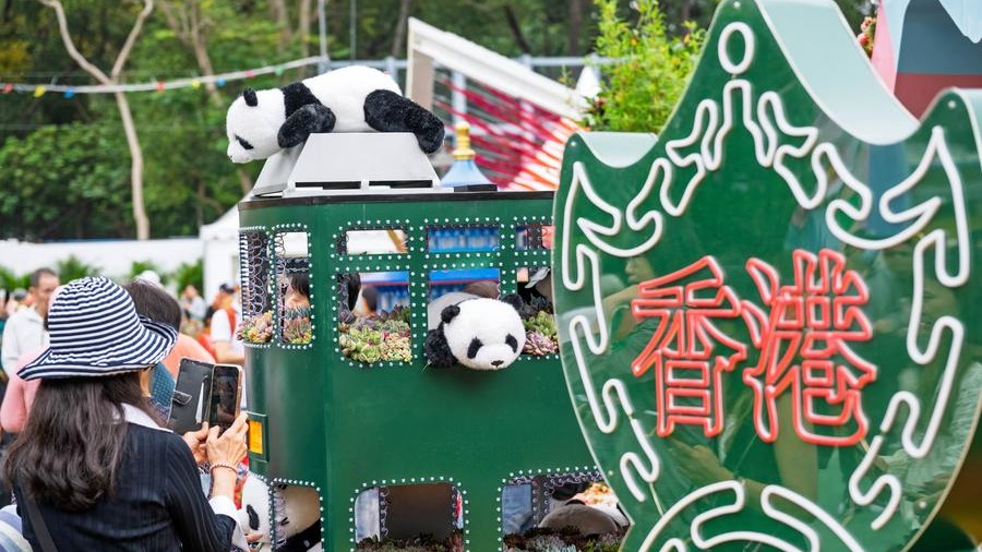 http://img2.chinadaily.com.cn/images/202505/03/68155347a310a04a9677acae.jpeg