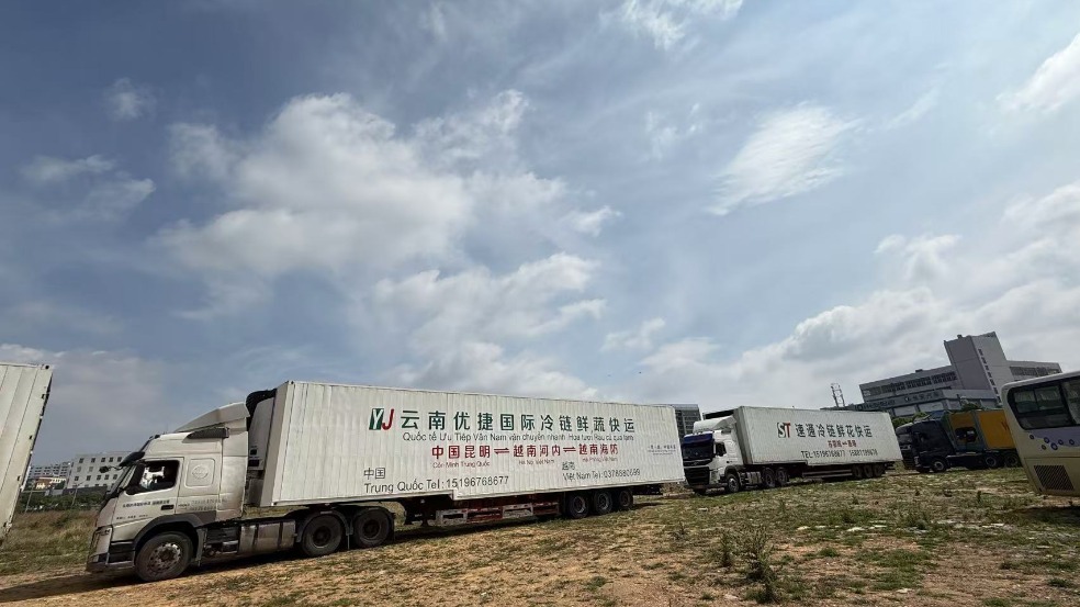 http://img2.chinadaily.com.cn/images/202505/14/6824253aa310a04a96786542.jpeg
