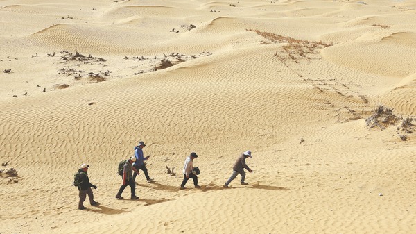 http://img2.chinadaily.com.cn/images/202505/20/682bbc6fa310a04a9678bdfd.jpeg
