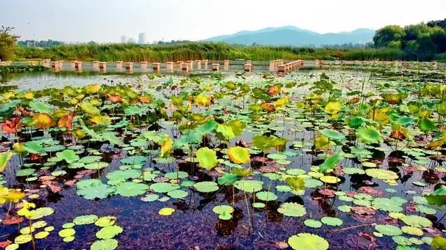 http://img2.chinadaily.com.cn/images/202505/23/682fc750a310a04a9678fafc.jpeg