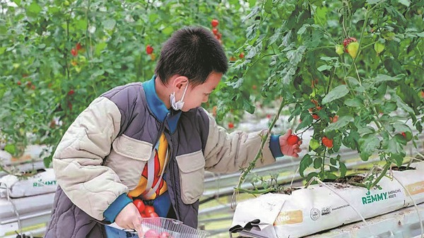 http://img2.chinadaily.com.cn/images/202505/26/6833a24fa310a04a967917e9.jpeg