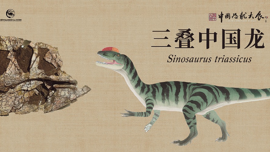 http://img2.chinadaily.com.cn/images/202505/30/6838e58ea310a04a9679672b.jpeg