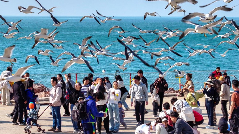 Innovating Amid China's Tourism Boom: Embracing Green Technology and Experiential Services