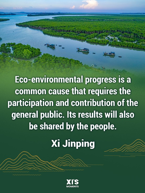 Highlights of Xi's remarks on environmental protection