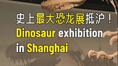 http://img2.chinadaily.com.cn/images/202506/09/684683a4a310a04a9679ea93.jpeg
