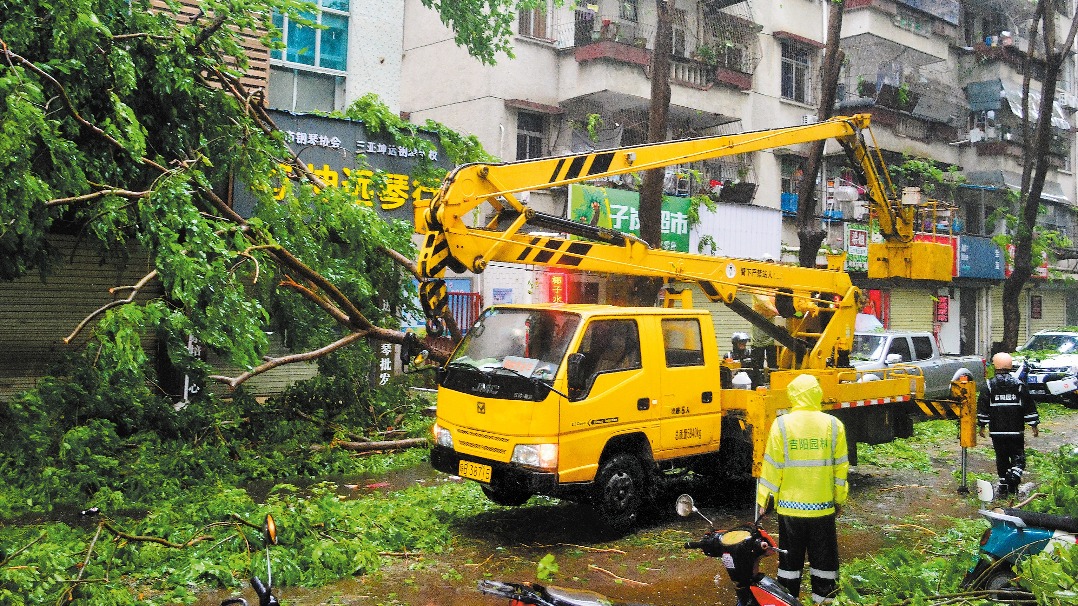 http://img2.chinadaily.com.cn/images/202506/14/684cba31a310a04a967a421a.jpeg