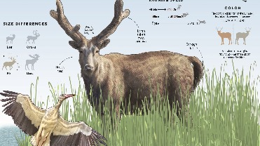 http://img2.chinadaily.com.cn/images/202506/30/6861e9a1a31000e98c7ce47f.jpeg