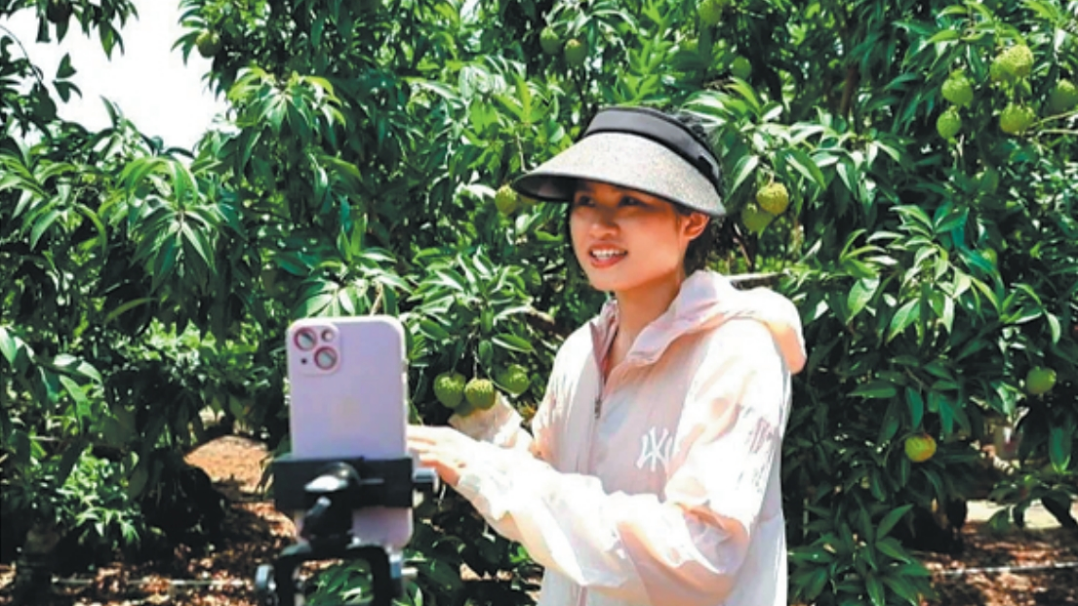 http://img2.chinadaily.com.cn/images/202507/14/68745e0ea31000e98c7db6e3.png
