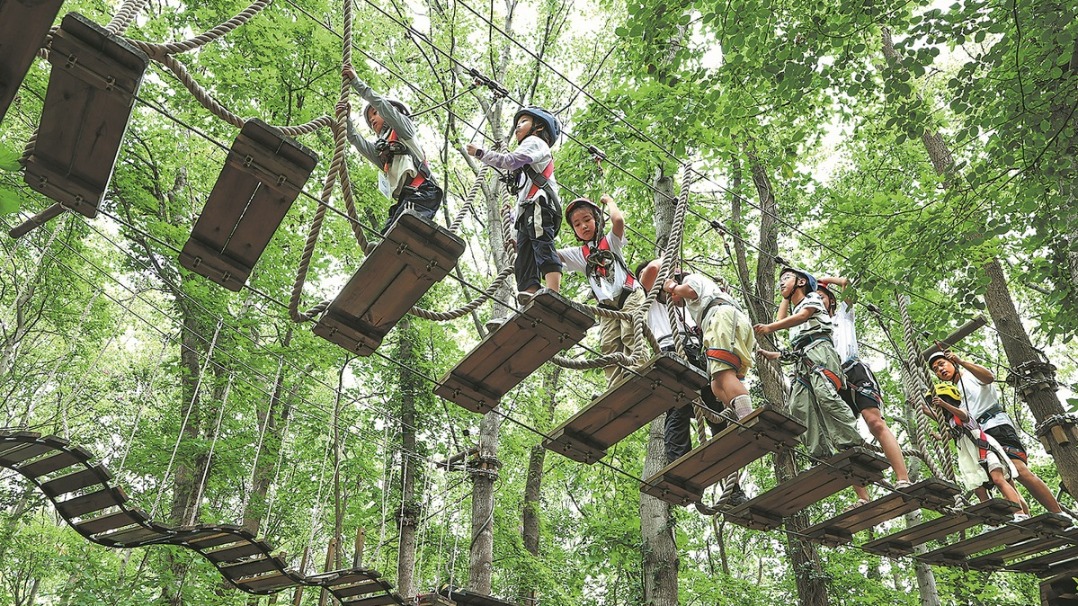 http://img2.chinadaily.com.cn/images/202508/01/688bf0d0a310c26f689483aa.jpeg