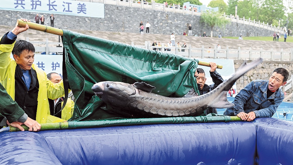 http://img2.chinadaily.com.cn/images/202508/01/688c1050a310c26f68948696.jpeg