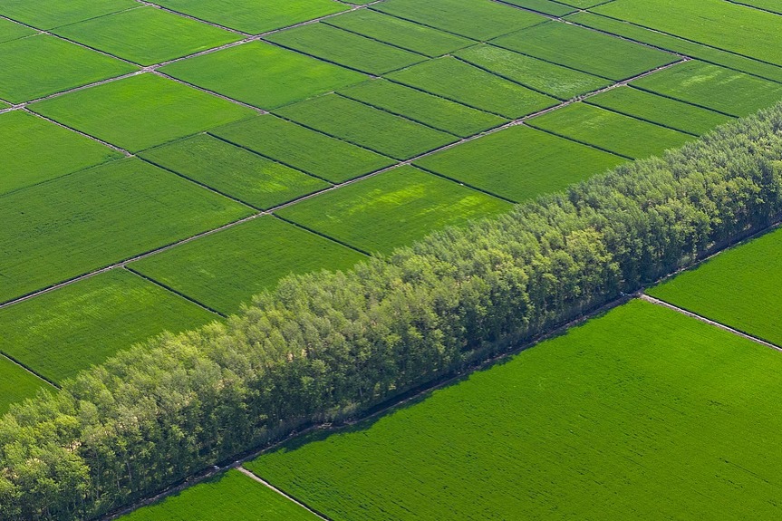 China's grain producer tapping into future of farming