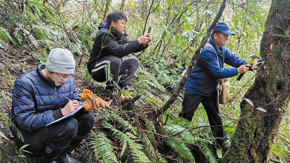 http://img2.chinadaily.com.cn/images/202508/04/6890080ca310c0209c382d94.jpeg