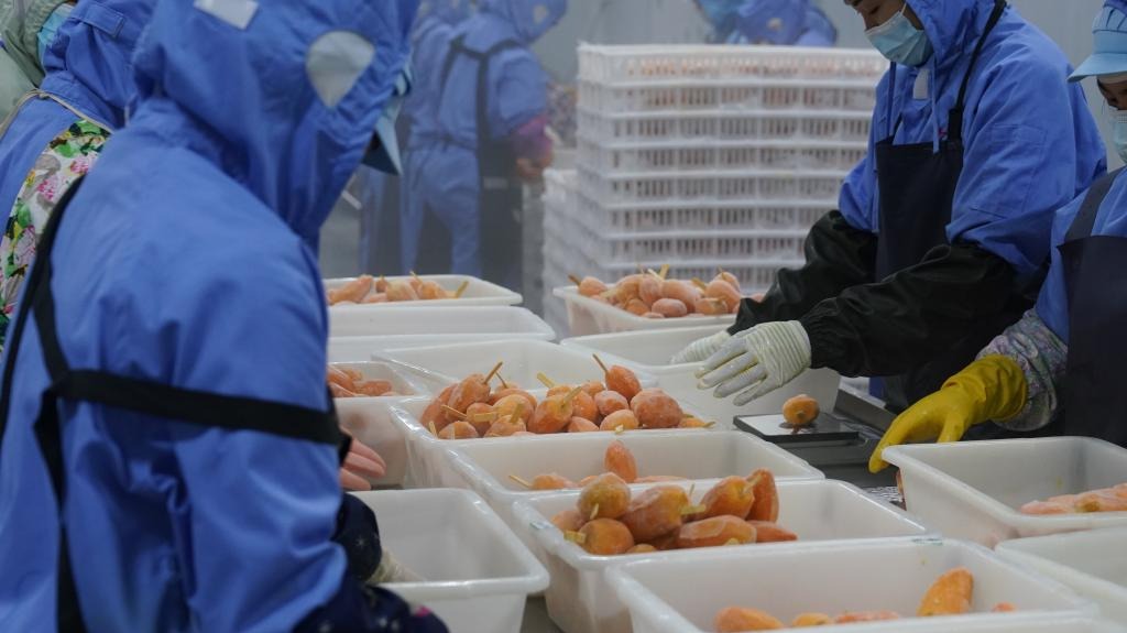 http://img2.chinadaily.com.cn/images/202508/15/689e85b9a310b236b651cc73.jpeg