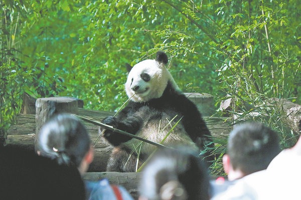 http://img2.chinadaily.com.cn/images/202508/16/689fe95ba310b236b651de78.jpeg