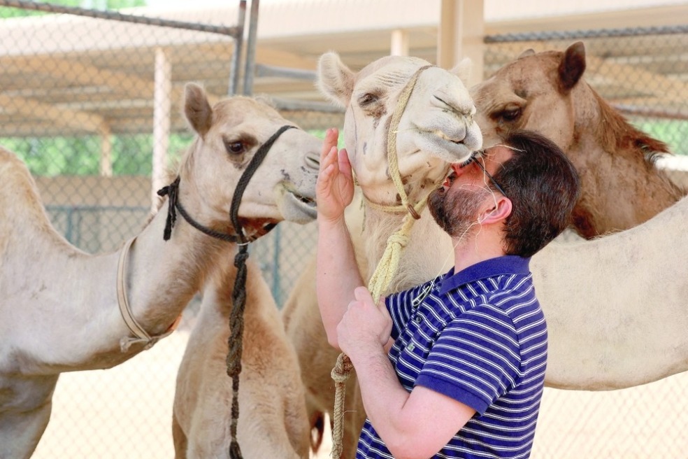 Cloning camels in UAE safeguards heritage, strengthens food security