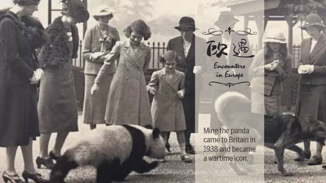 http://img2.chinadaily.com.cn/images/202509/25/68d4a32aa3108622d642371c.png