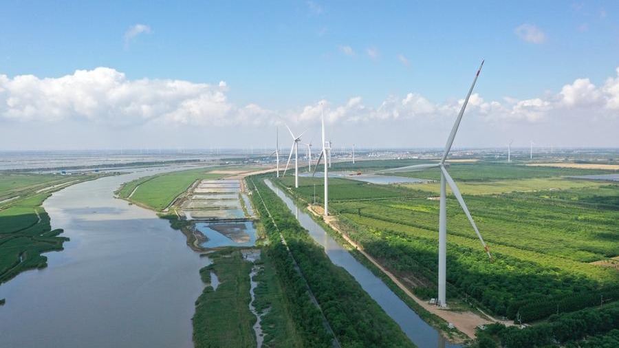 Global energy think tank praises China's world-leading role in clean energy, technology