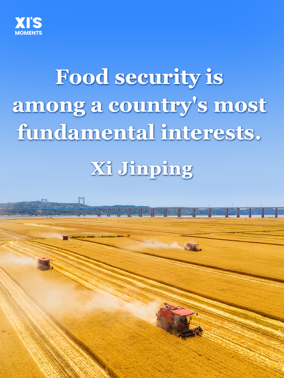 President Xi on grain security