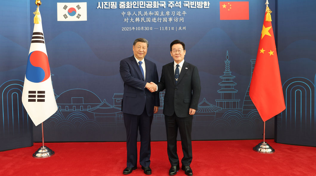 Xi holds talks with S. Korean president