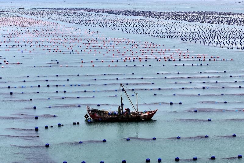 China's marine economy reports 5.6% growth in first 9 months of 2025