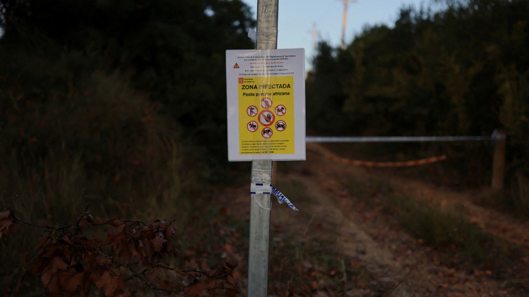 China resumes pork imports from Spanish regions unaffected by swine flu