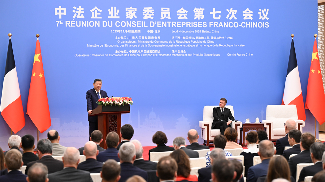Xi, Macron attend China-France Business Council meeting