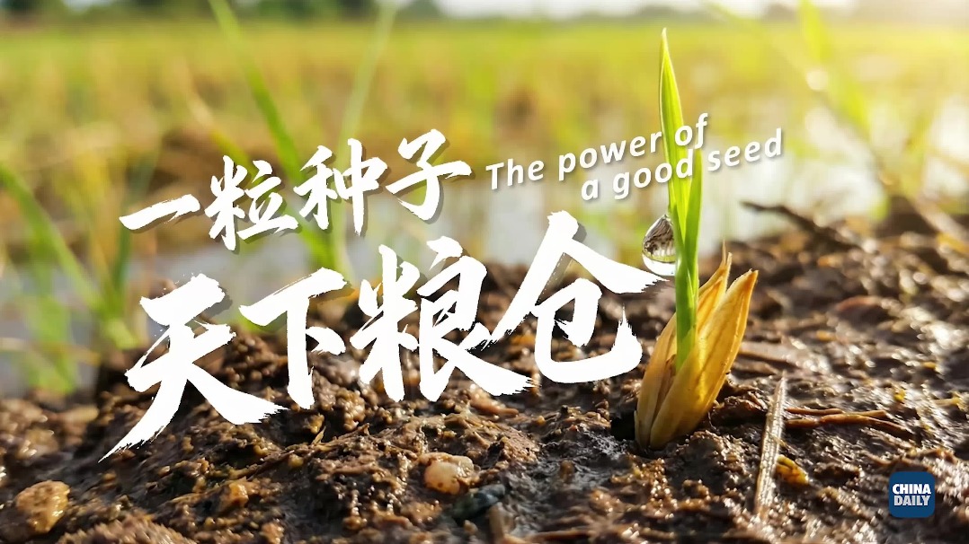 China's global contributions to food security