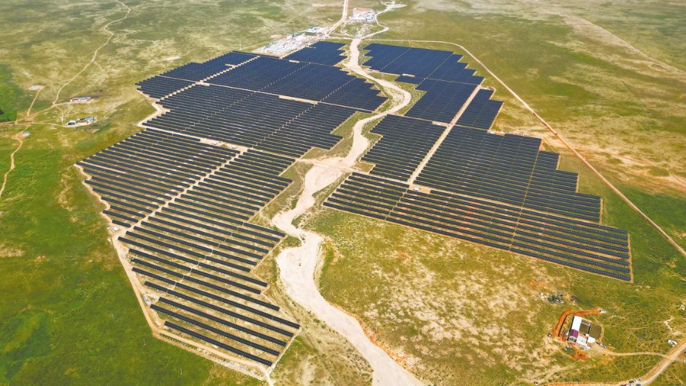 Solar shelters shrubs to stunt Inner Mongolia's shifting sands