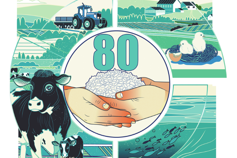 Let's build better agrifood systems